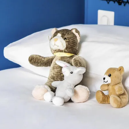 Ibis Budget Centre Gare ホテル ラ・ロシェル